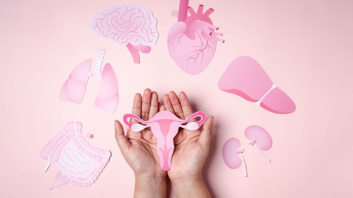 Proyecto de Salud en la Menopausia avanza en comisión del Senado 