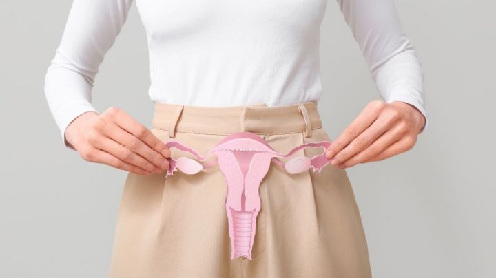 Menopausia: por fin entra en la agenda pública