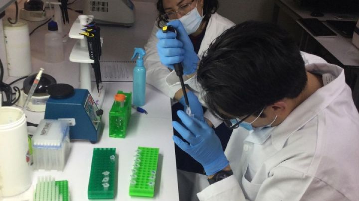 ¿Qué es la genotipificación oncológica y por qué beneficia a los pacientes con cáncer? 