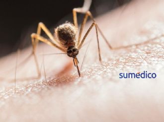 Malaria: la enfermedad que se da por un piquete de mosco