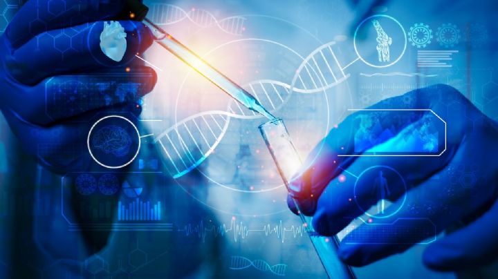 Con decreto, Sheinbaum busca agilizar registro de medicamentos innovadores en Cofepris