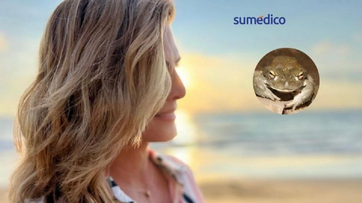 Montserrat Oliver: el riesgo del veneno de sapo