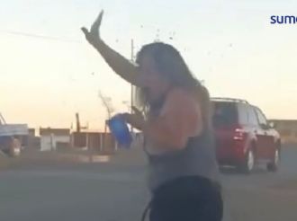 Picaduras de abeja: riesgo mortal tras caso de magistrada de Zacatecas