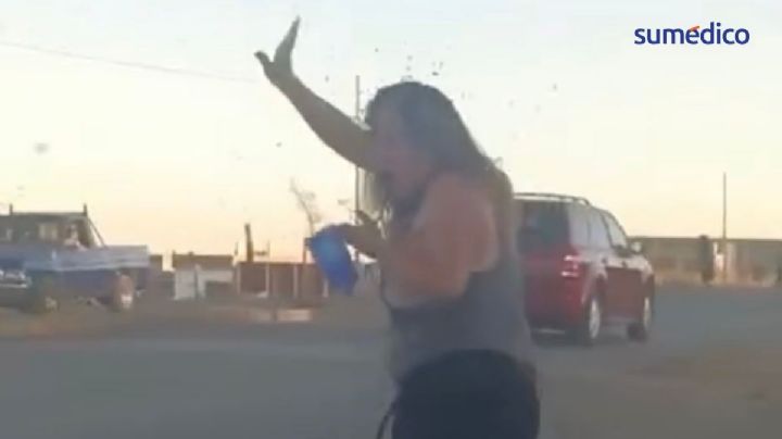 Picaduras de abeja: riesgo mortal tras caso de magistrada de Zacatecas