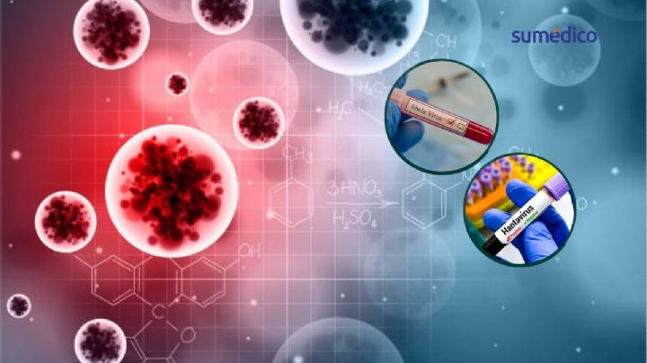 Ébola o hantavirus: ¿cuál es peor?