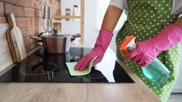 Remedio natural para eliminar cucarachas y limpiar tu casa de forma efectiva