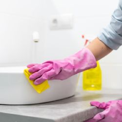Cómo eliminar cucarachas del baño con un remedio casero y evitar que regresen