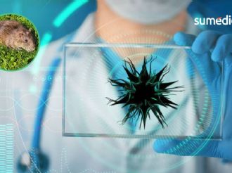 Hantavirus en alerta: ¿qué implica la emergencia Nivel 3?