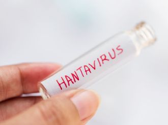 ¿Vacuna contra hantavirus? Esto sabemos