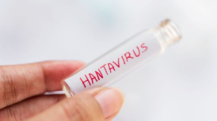 ¿Vacuna contra hantavirus? Esto se sabe del antígeno de Moderna