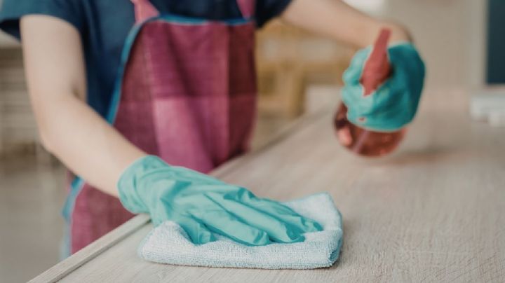Cómo eliminar hormigas de la cocina con un remedio natural y efectivo