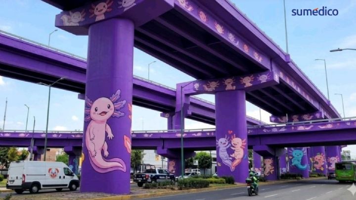 ¿Por qué las calles en la CDMX no deben ser moradas?