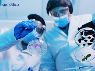 PiSA e INSP impulsan investigación en salud pública