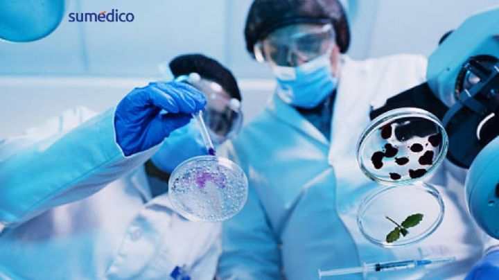 PiSA e INSP impulsan investigación en salud pública