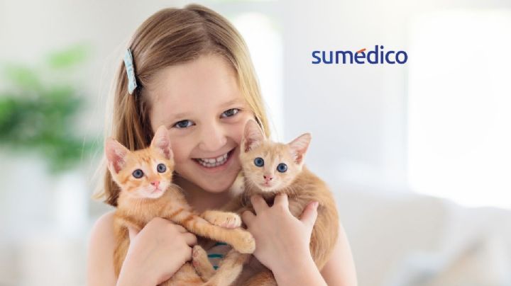 ¿Convivir con gatos en la infancia empeora el asma? Esto dice un estudio