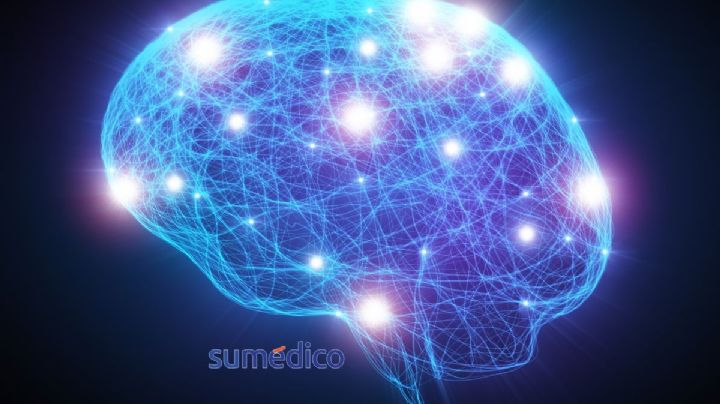 El guardián escondido: descubren el gen que evita que tu cerebro muera de estrés