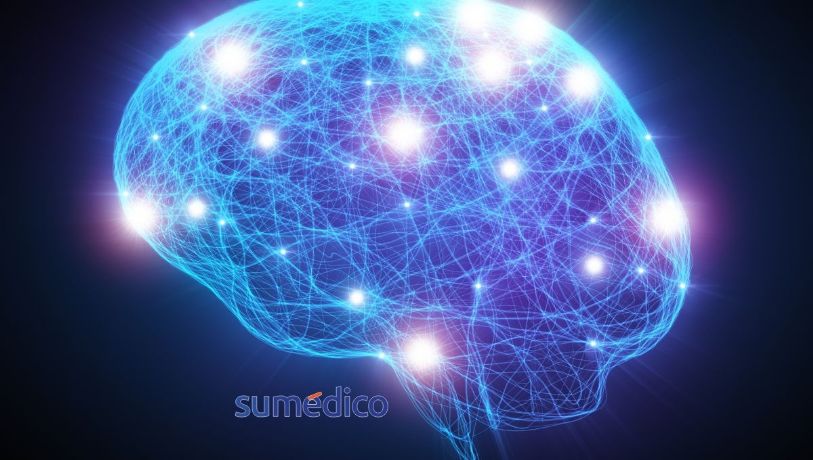 El guardián escondido: descubren el gen que evita que tu cerebro muera de estrés