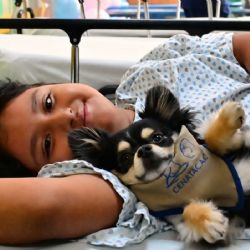 Huellitas que sanan: los beneficios de la terapia con perros en el Instituto Nacional de Pediatría