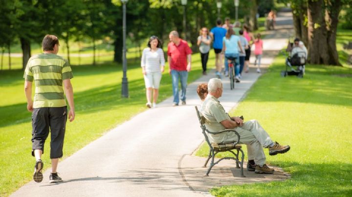 Día Mundial del Medio Ambiente: la receta olvidada para la salud mental