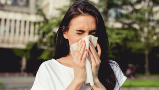 Altas temperaturas, ozono y alergias: por qué debemos cuidarnos más