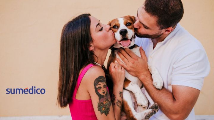 ¿Quién recibe más amor, tu pareja o tu mascota? Estudio lo revela