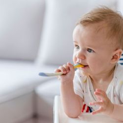 El alimento que debes dar a tu bebé a los 6 meses para reducir alergias