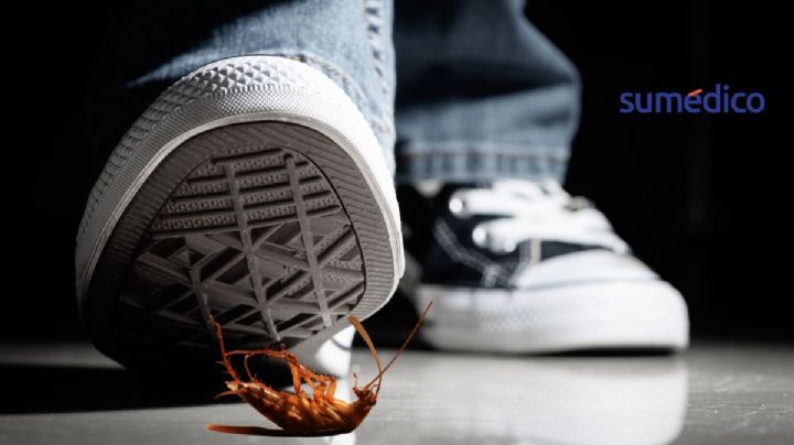 ¿Por qué NO debes pisar las cucarachas?