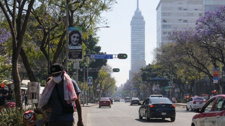 Aire CDMX: La nueva app para proteger tu salud frente a la contaminación