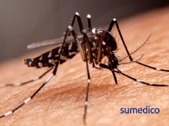 ¿Cómo prevenir el dengue en temporada de lluvias?