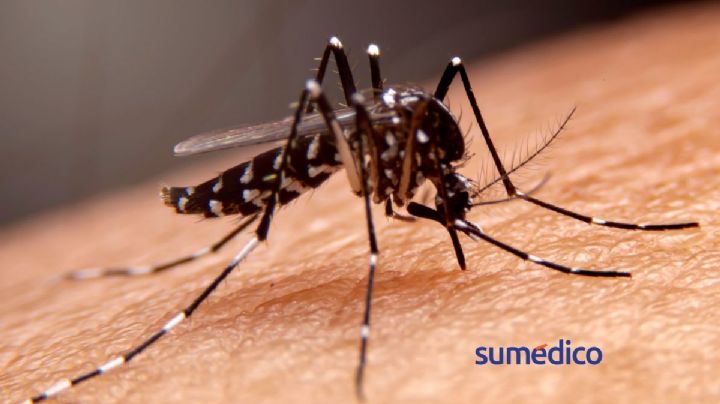 ¿Cómo prevenir el dengue en temporada de lluvias?