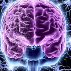 Los 3 problemas de salud que afectan con más frecuencia al cerebro