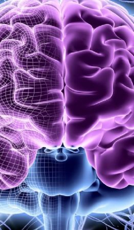 Foto descriptiva de: Los 3 problemas de salud que afectan con más frecuencia al cerebro