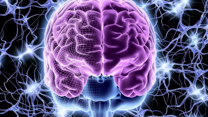 Los 3 problemas de salud que afectan con más frecuencia al cerebro