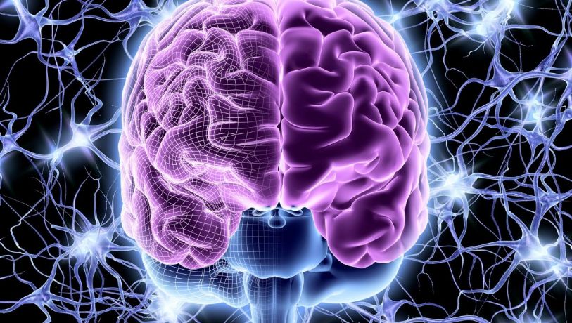 Los 3 problemas de salud que afectan con más frecuencia al cerebro