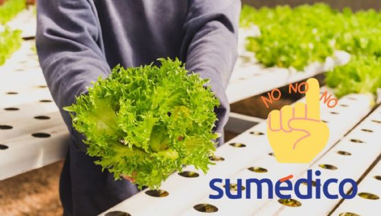 ¿Qué alimentos debes evitar comer para NO contagiarte de diarrea explosiva?