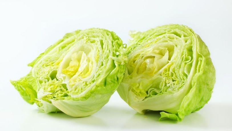 Salud desmiente a la FDA: Lechuga mexicana, libre de Cyclospora que causa diarrea explosiva