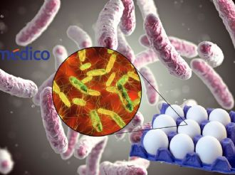 Alerta por Salmonella en EU: ¿Qué síntomas tiene y cómo protegerte?