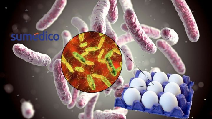Alerta por Salmonella en EU: ¿Qué síntomas tiene y cómo protegerte?