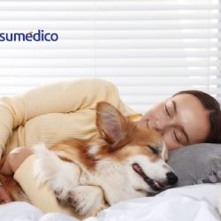 ¿Dormir con tus mascotas en la misma cama sí o no?