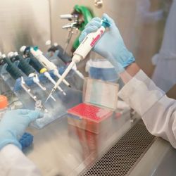 IMSS fortalece lucha contra el cáncer con Centro de Terapia Celular