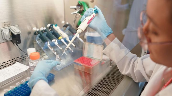 IMSS fortalece lucha contra el cáncer con Centro de Terapia Celular