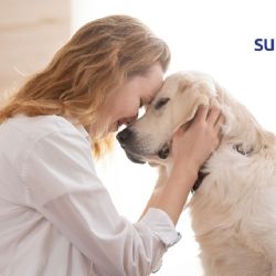 ¿Cuáles son los beneficios a la salud de tener una mascota?