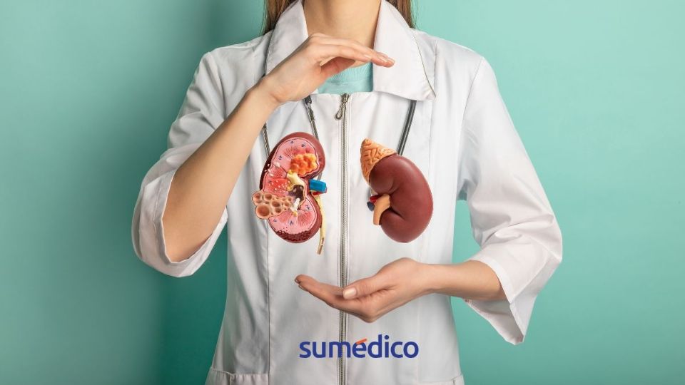 Conoce los consejos para cuidar tus riñones
